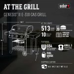 Weber Genesis II E-310 LP Black