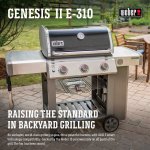 Weber Genesis II E-310 NG Black