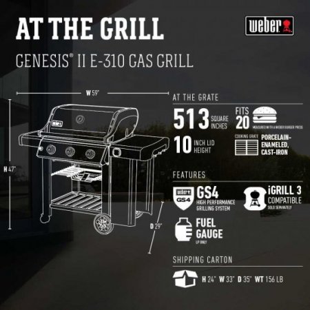 Weber Genesis II E-310 NG Black