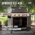 Weber Genesis II E-435 NG Black