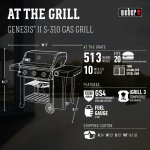 Weber Genesis II S-310 NG Stainless Steel