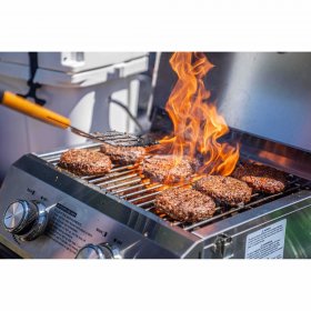 Monument Grills 19 in. 2-Burner Tabletop Grill in Stainless