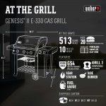 Weber Genesis II E-330 NG Black