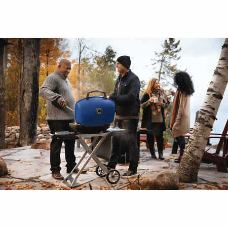 Napoleon TQ285XBL TravelQ 285 Scissor Cart Portable Grill - Blue